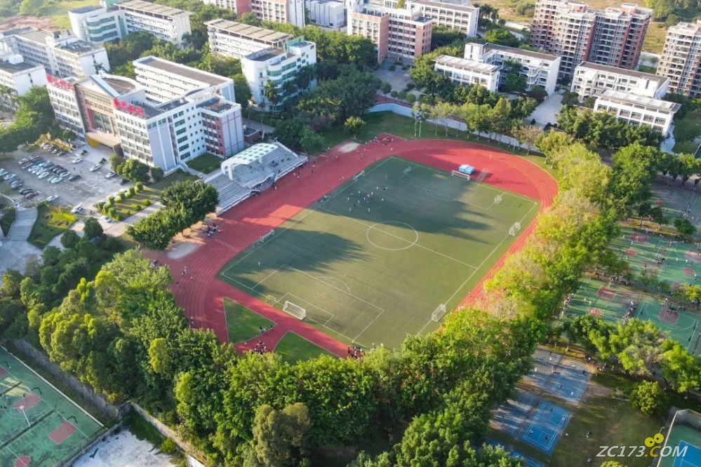 13.jpg